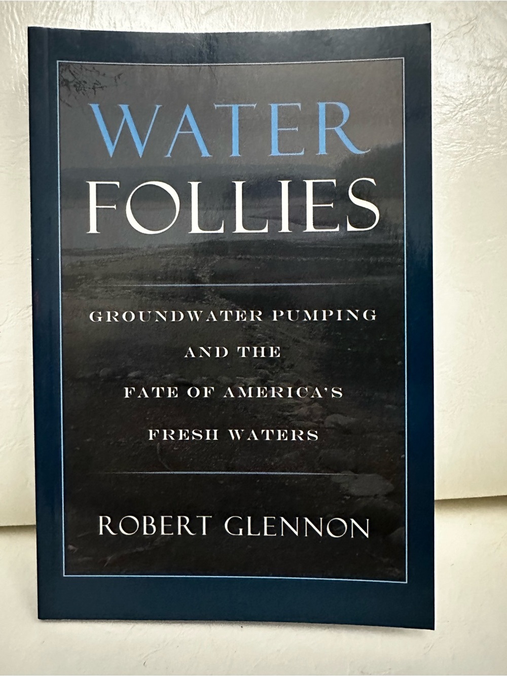 Water Follies by Robert Glennon